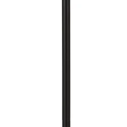 W56 fogas